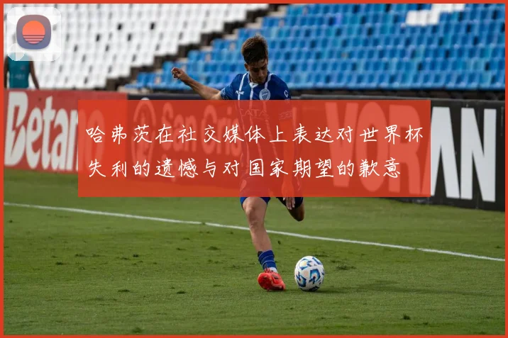 哈弗茨在社交媒体上表达对世界杯失利的遗憾与对国家期望的歉意